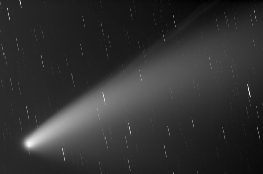Neowise (C/2020 F3)