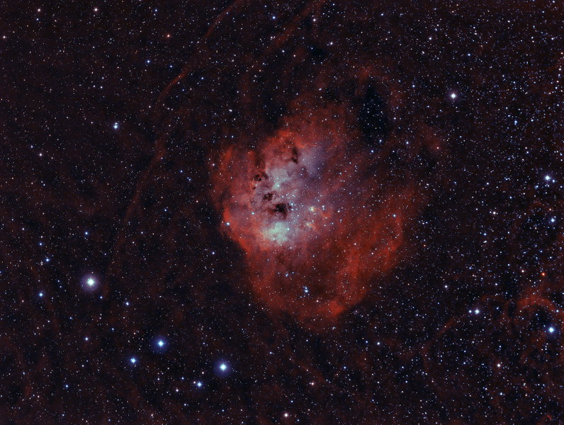 Tadpoles Nebula (IC410)