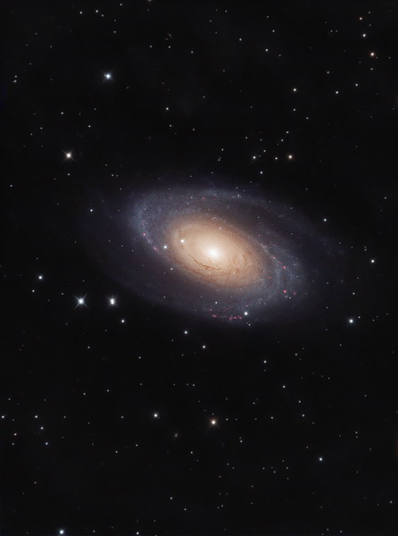 Bode's Galaxy (M81)