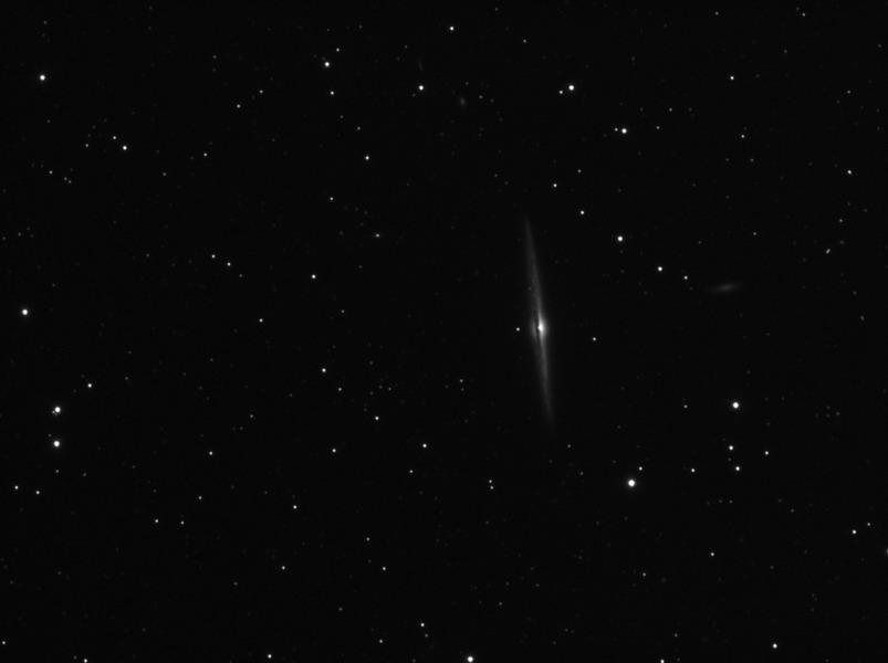 Galassia Ago (NGC4565)