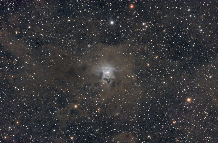 Nebulosa Iris (NGC7023)