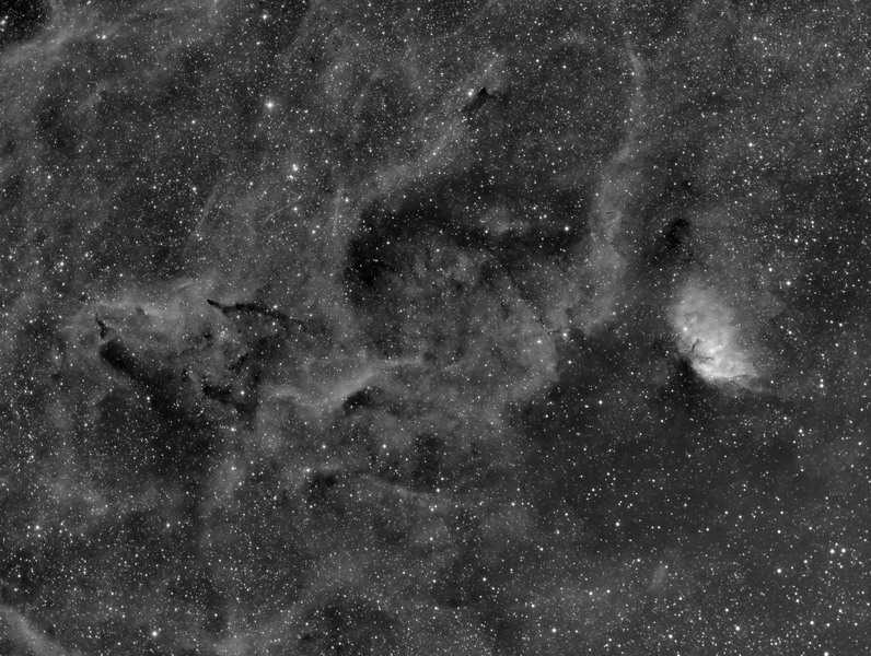 Nebulosa Tulipano (Sh2-101)