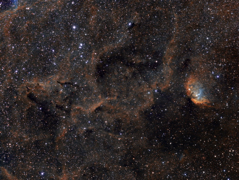 Nebulosa Tulipano (Sh2-101)