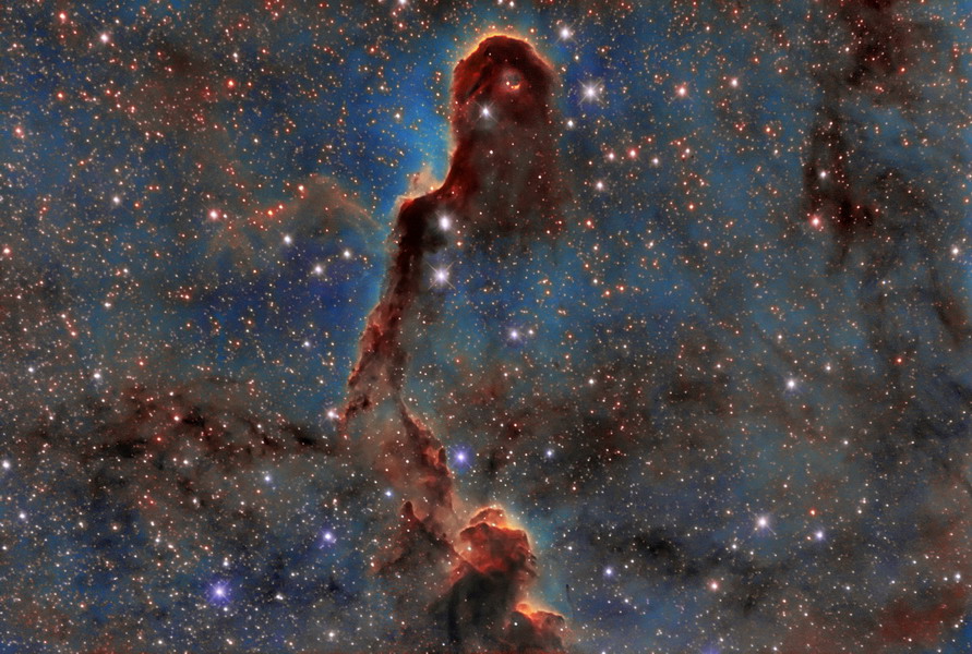 Trunk Nebula (Vdb142)